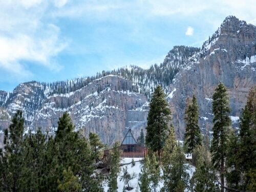 Tour Mount Charleston e Lee Canyon + Ski - Imagem 5